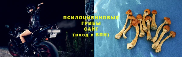 круглые Вяземский